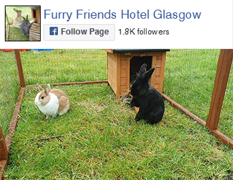 Follow us on Facebook